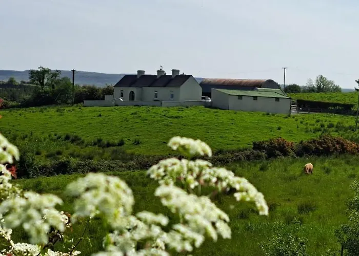 Patricia's Country Sligo