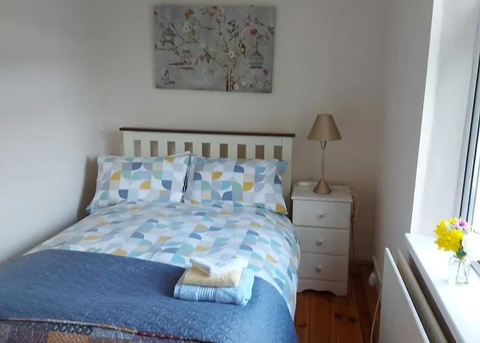 Patricia's Country *